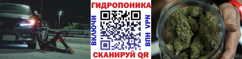 МЕГА маркетплейс  дарнет шоп  Хилок  Канабис ГИДРОПОН 